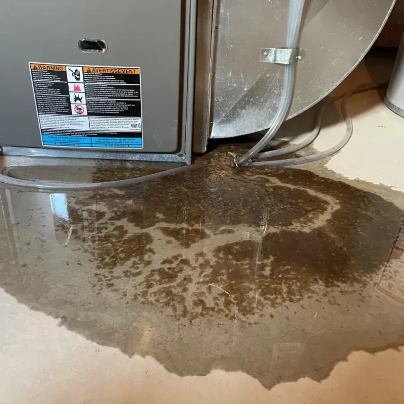 Appliance Leak Cleanup in Erlanger, KY